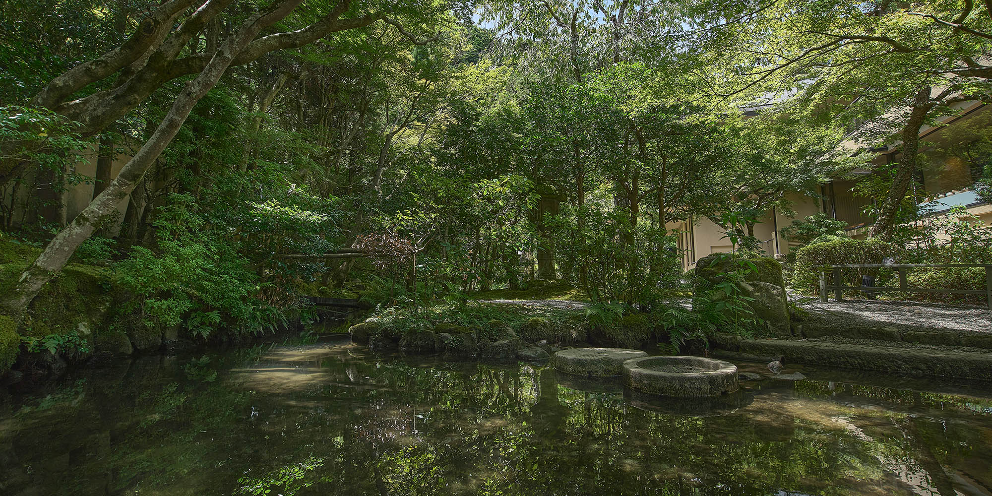 A Garden That records history