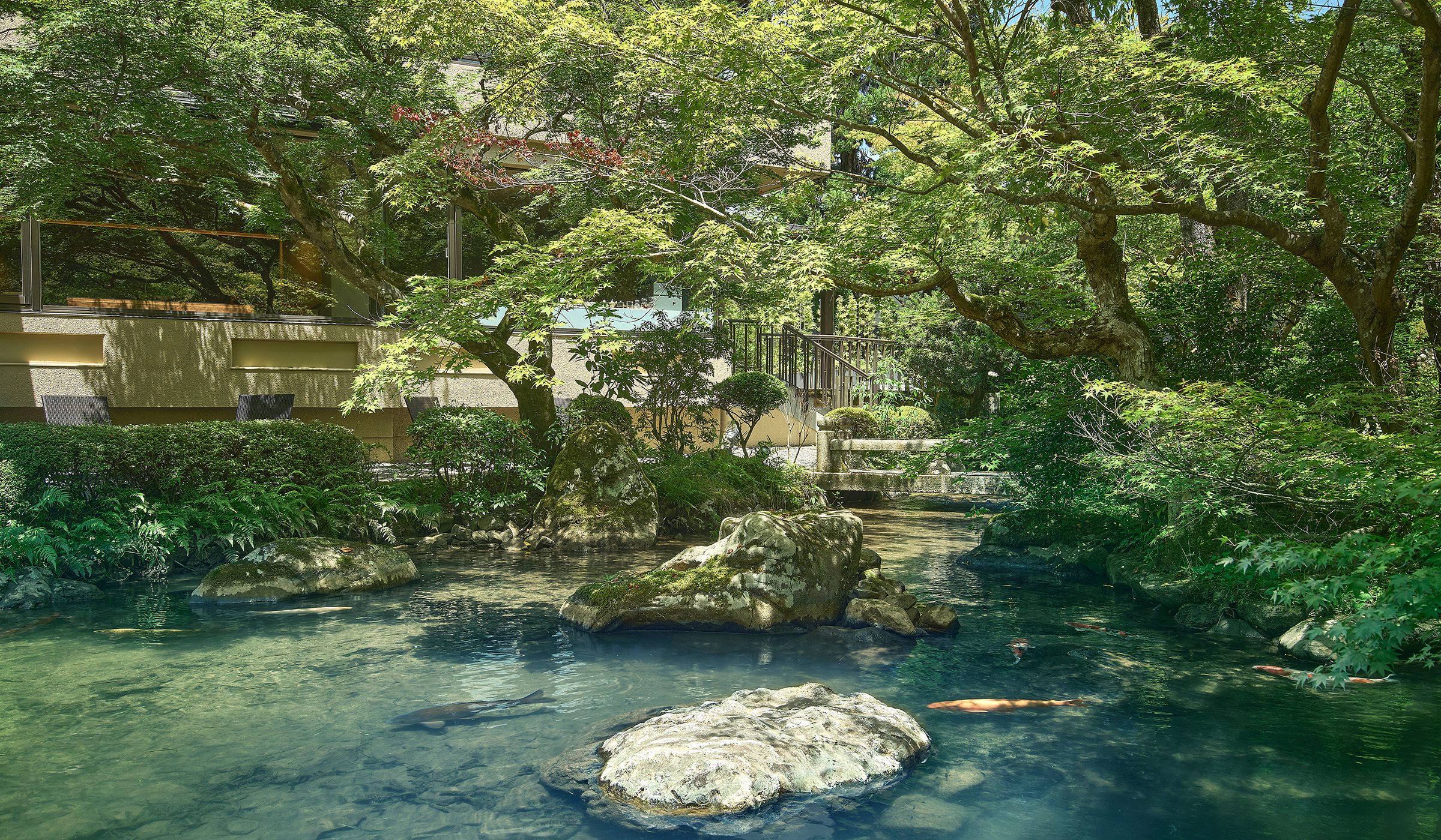 Introduction to Moss Gardens