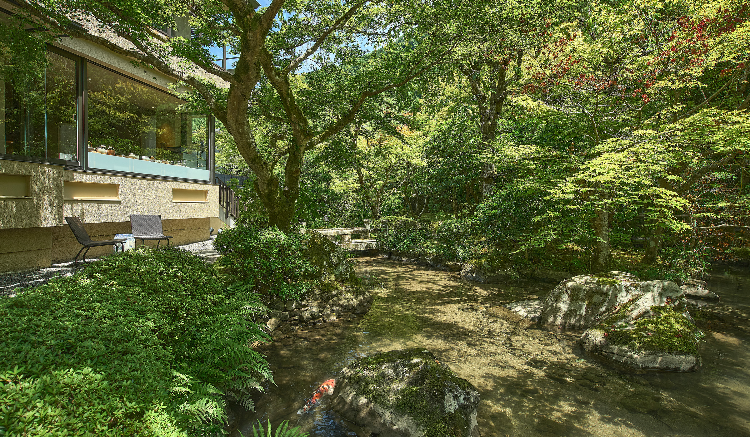 Introduction to Moss Gardens